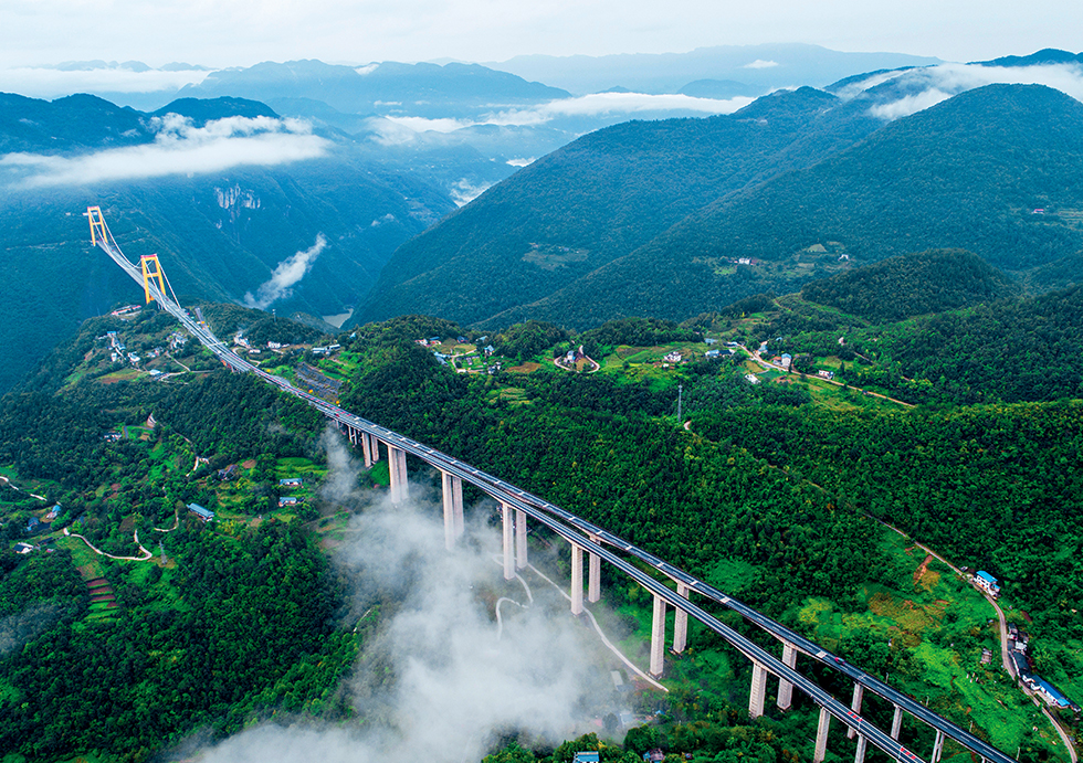 跨山谷特大桥梁的招标咨询