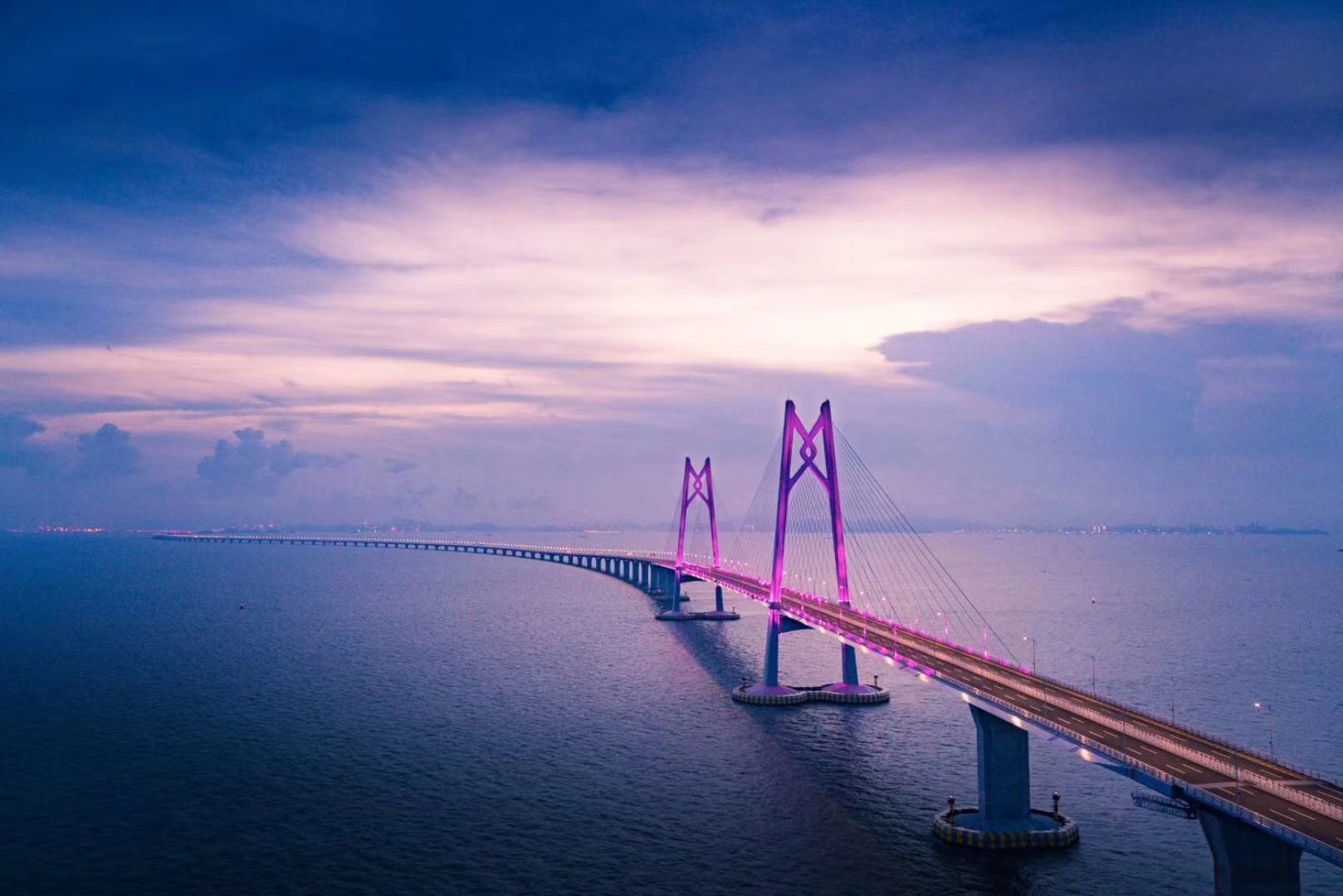 因为专业，所以领先